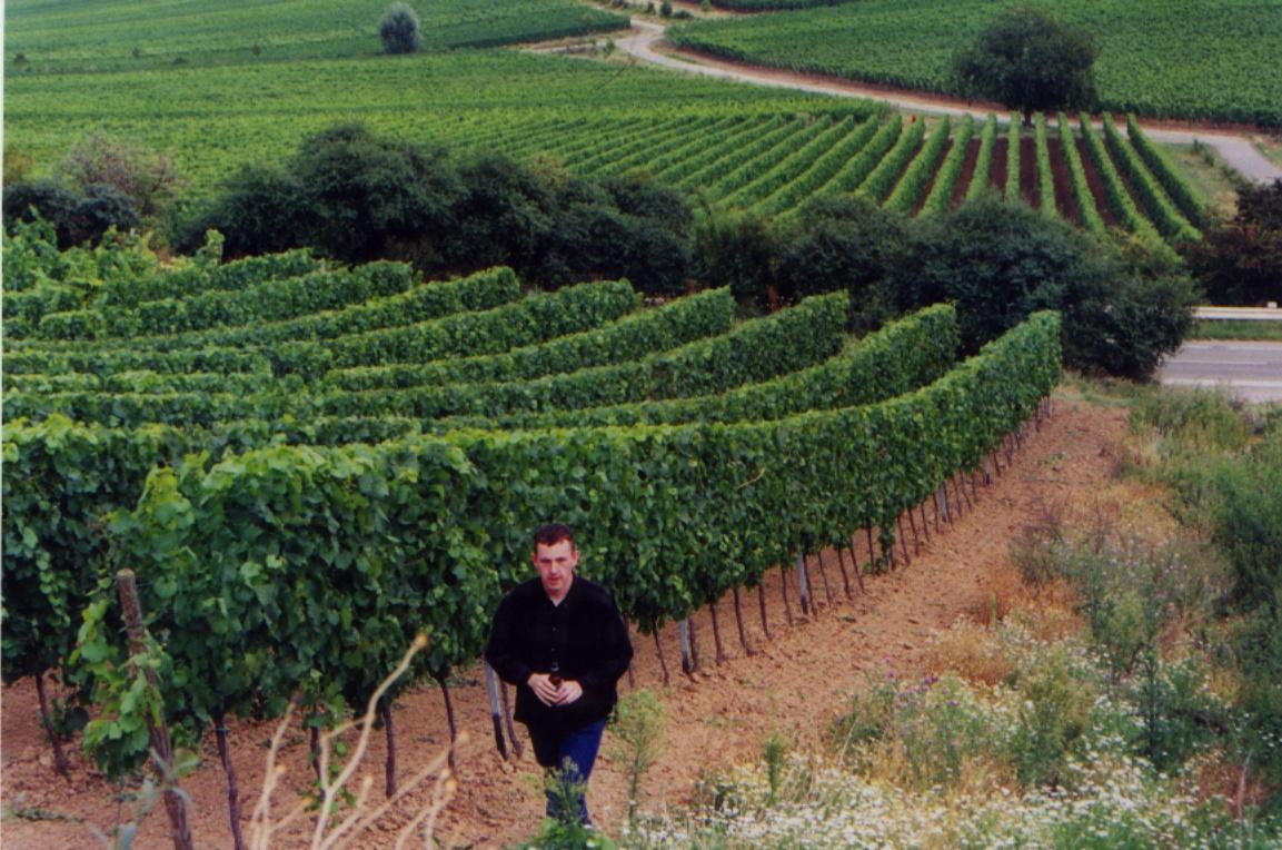 Oskar & German Vinyards